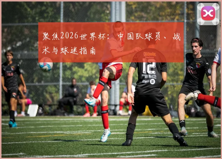 聚焦2026世界杯：中国队球员、战术与球迷指南