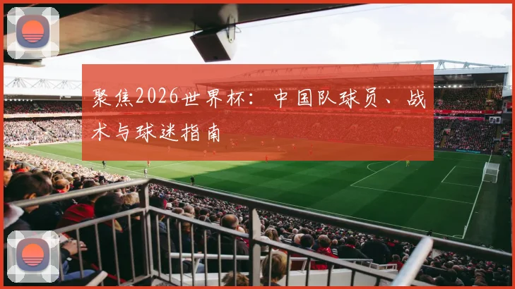 聚焦2026世界杯：中国队球员、战术与球迷指南